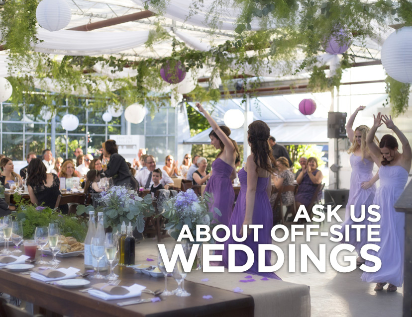 Social Event Catering